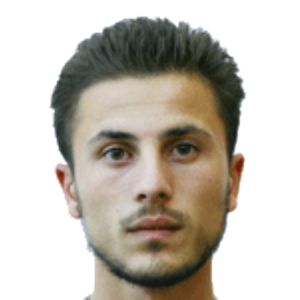 G. Gureshidze