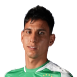 O. J. Rojas Munoz