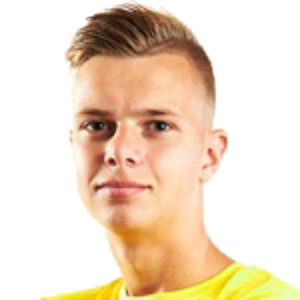 M. Matko