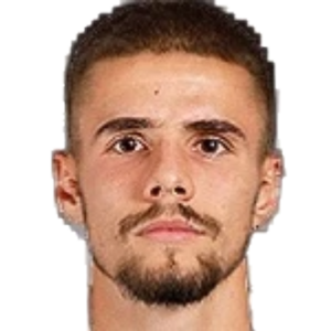 V. Naydenov