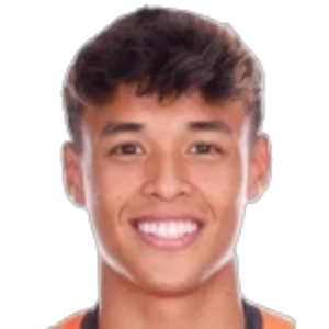 Ilhan Fandi