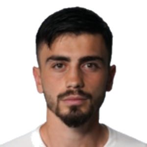 T. Şahin