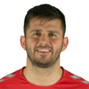 N. Mirkovic