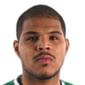 Bruno Miguel de Jesus Miranda
