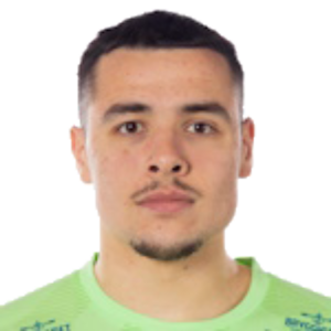 A. Ibrahimović