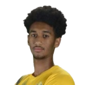 H. Al Amin