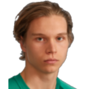 J. Heinonen