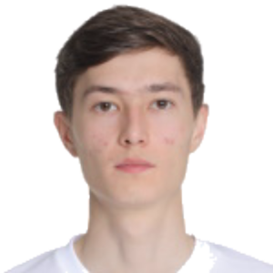 I. Ibragimov