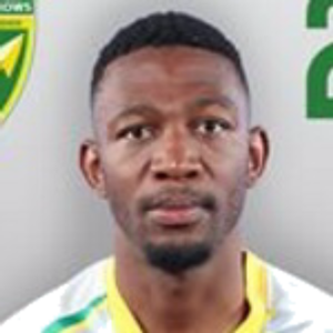N. Dlamini