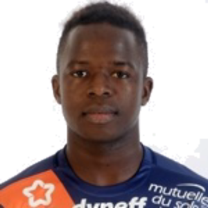M. N'Diaye