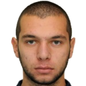 Z. Tevzadze