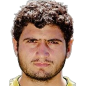 L. Karapetyan