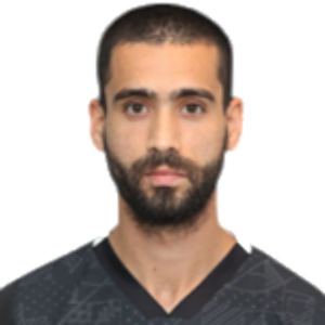 N. Marinakis
