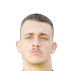 M. Premović