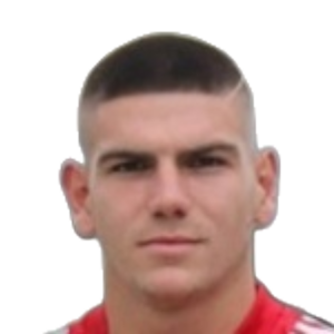 M. Ilievski