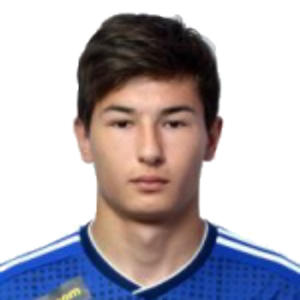 T. Nikolaev