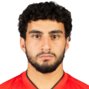 H. Minasyan