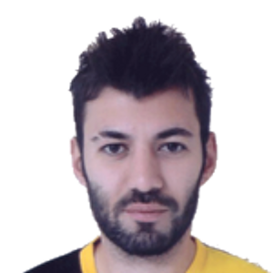 E. Erginsoy
