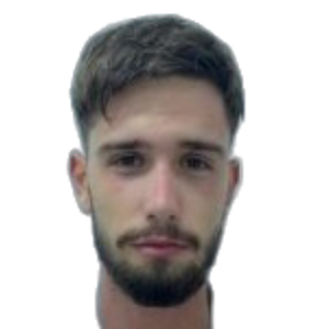 D. Ljubić