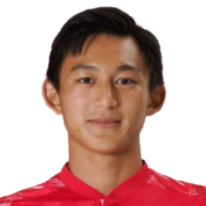 S. Ichikawa