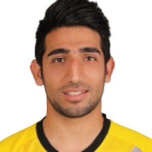 R. Mirzaei