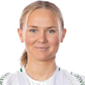 M. Vinberg