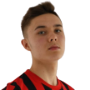 N. Jokiniemi