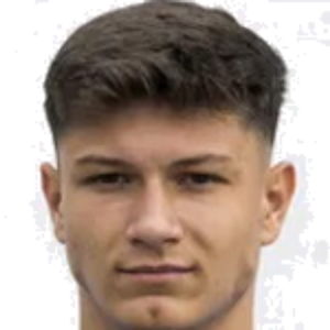 M. Petrović