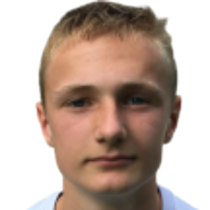 M. Mehl