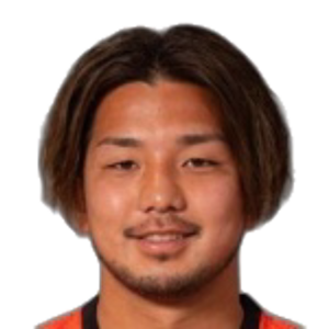H. Ishikawa
