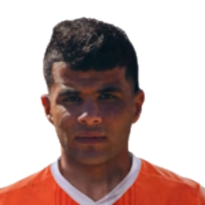 Walid Farag