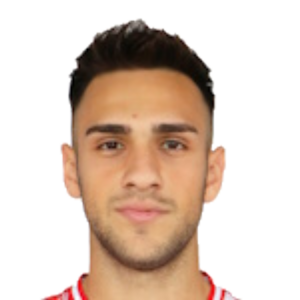 E. Aydın