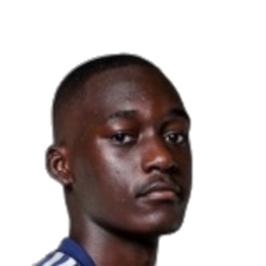 Y. Mouanga