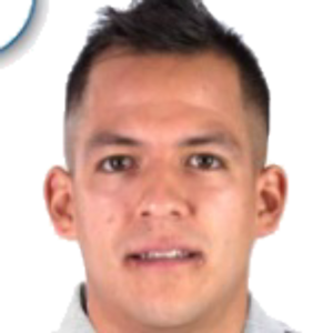 R. Salinas