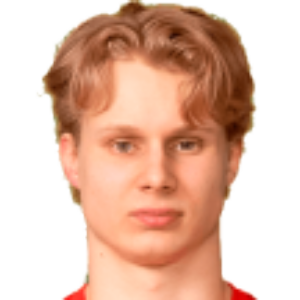 J. Sarkkinen