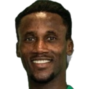 N. Yannick