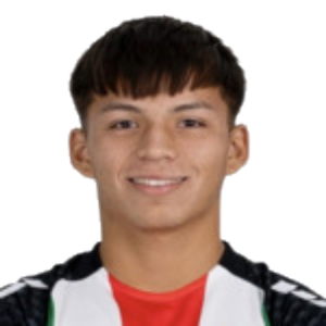 B. Araneda