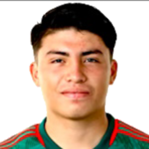 L. Navarrete