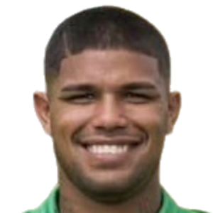 Á. Llanes