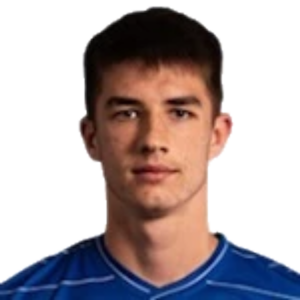 B. PaviÄ