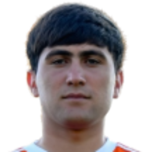 E. Papikyan