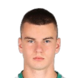 V. Valkov