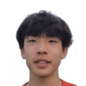 P. Zhu