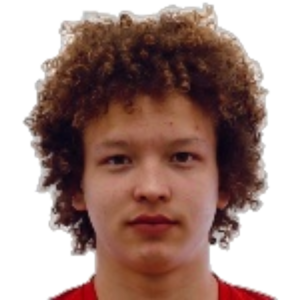 N. Vasiljev