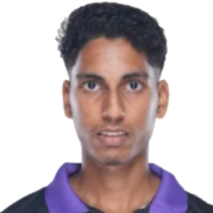 N. Naik