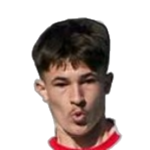Haris Kozarac