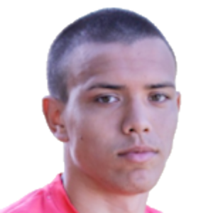 Nicolás Rodrigo Gracés Viera