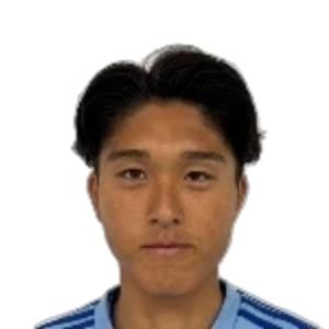 K. Hosoi