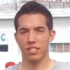 M. Monllor