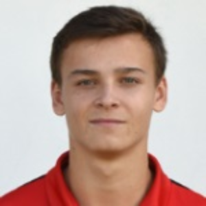 P. Sokol